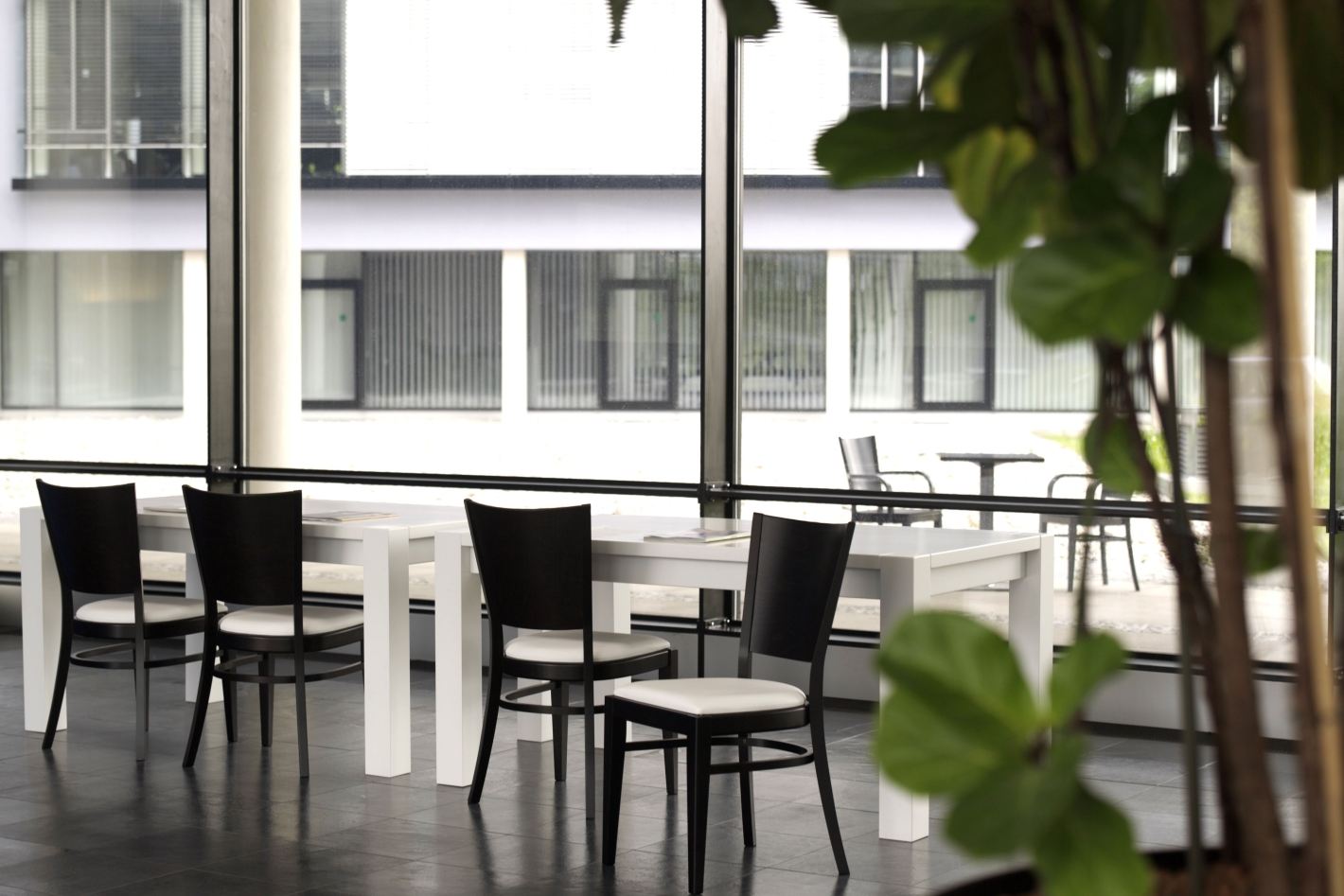 Norma_americká rada_2